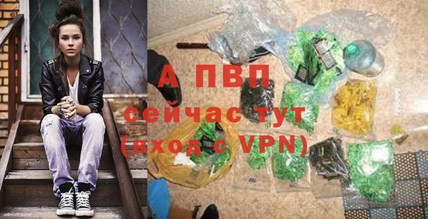 кокс Михайлов