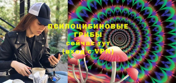 дживик Бердск