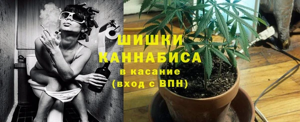 кокс Михайлов