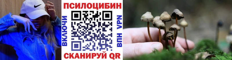 даркнет официальный сайт  продажа наркотиков  Усть-Джегута  Псилоцибиновые грибы MAGIC MUSHROOMS 