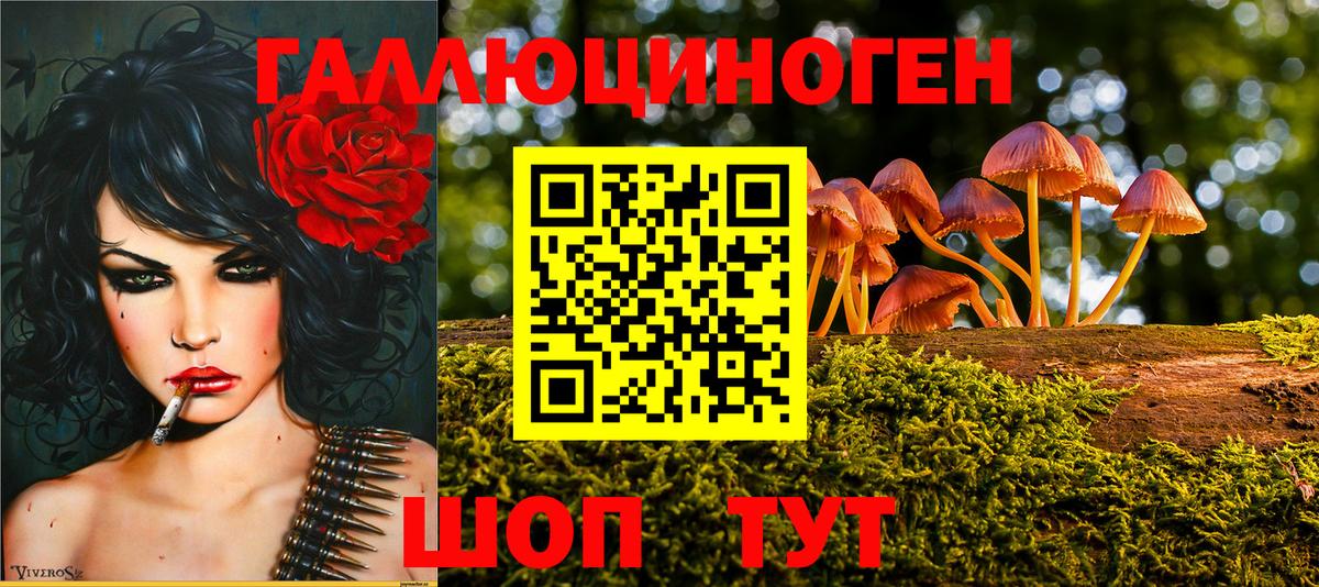Усть-Джегута  Галлюциногенные грибы мухоморы  Галлюциногенные грибы Magic Shrooms  Вход с VPN 