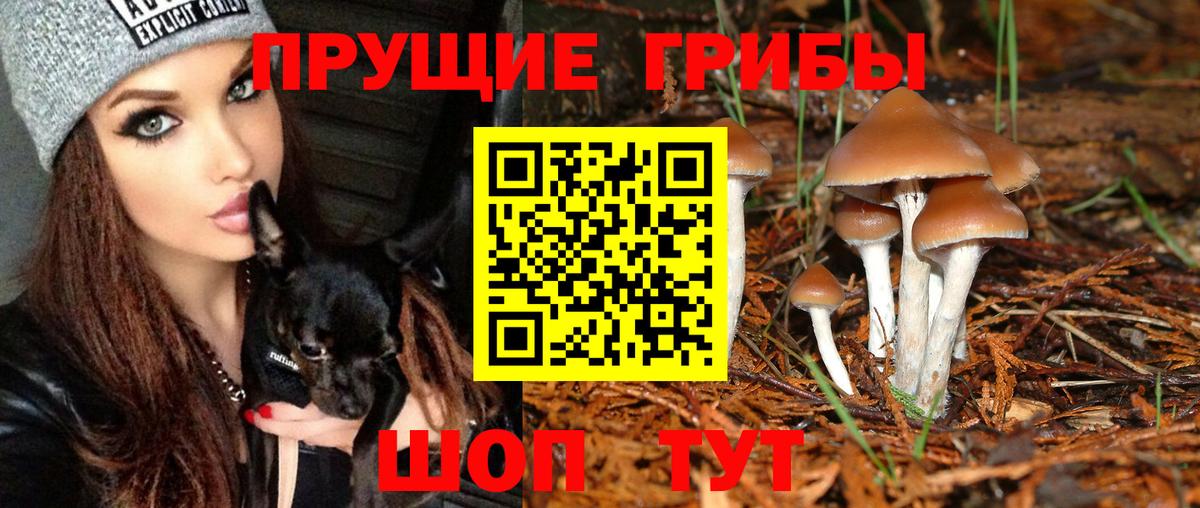 Галлюциногенные грибы Magic Shrooms Усть-Джегута